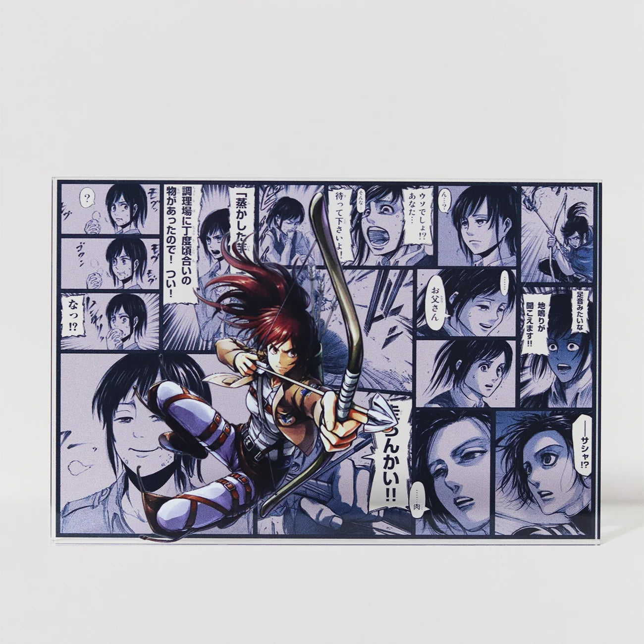 AniPanel Manga Art- Attack on Titan: Sasha Braus anime gift