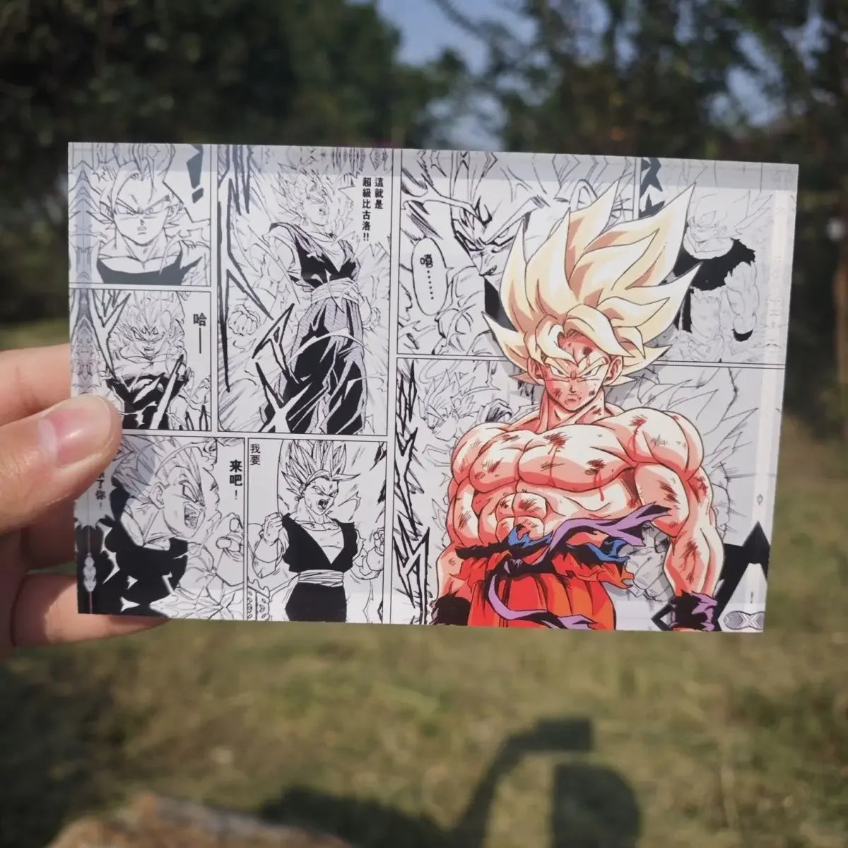 AniPanel Manga Art- Dragon Ball: SS Goku anime gift
