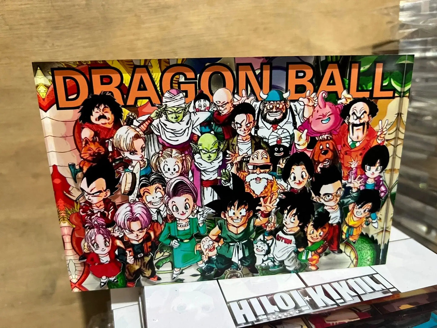 AniPanel Manga Art- Dragon Ball: Z Warriors anime gift