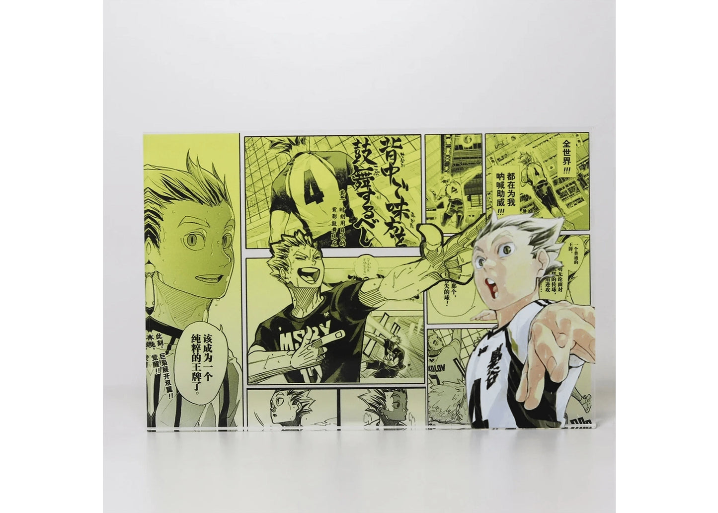 AniPanel Manga Art - Haikyuu!!: Kōtarō Bokuto anime gift
