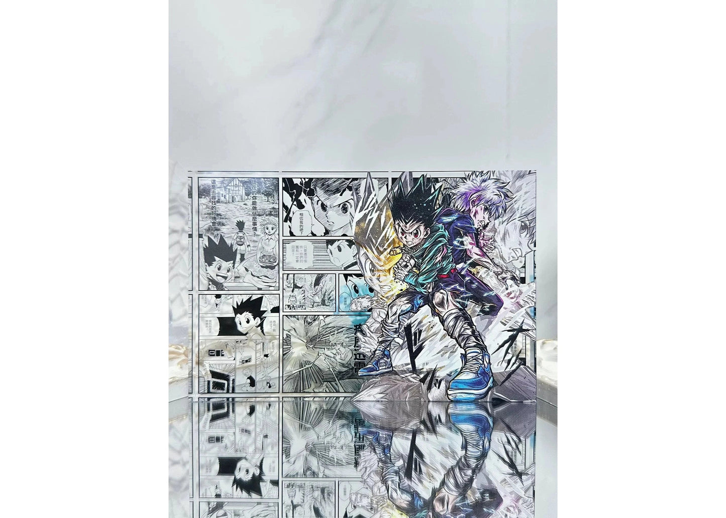 AniPanel Manga Art - Hunter x Hunter: Gon Freecss & Killua Zoldyck anime gift