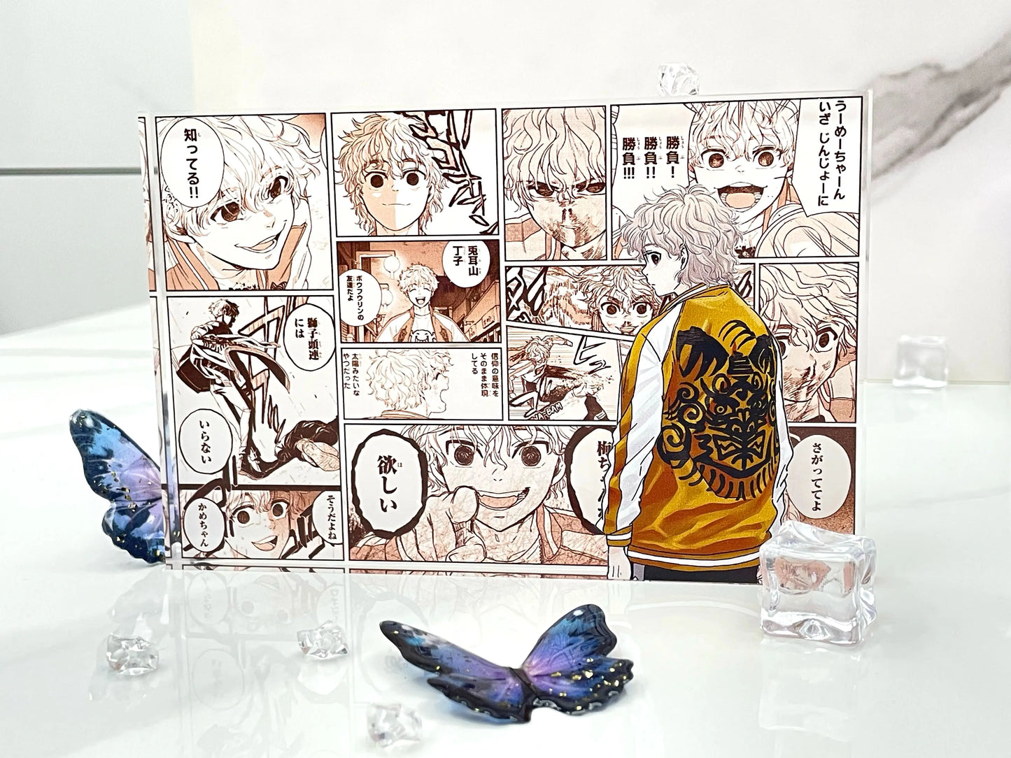 AniPanel Manga Art- Wind Breaker: Choji Tomiyama anime gift