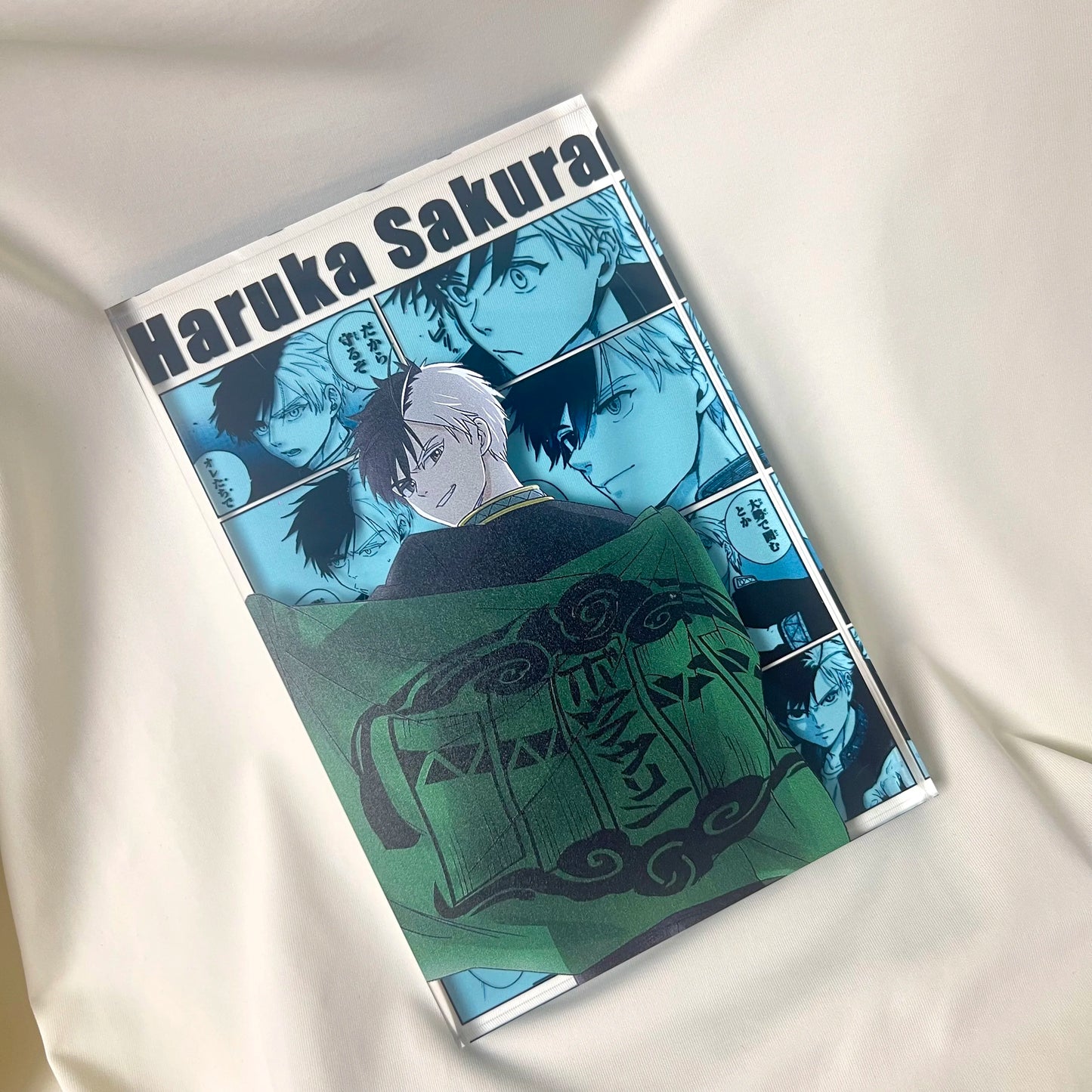 AniPanel Manga Art- Wind Breaker: Haruka Sakura anime gift