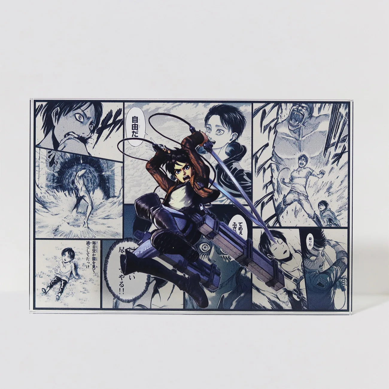 AniPanel Manga Art- Attack on Titan: Eren Yeager anime gift