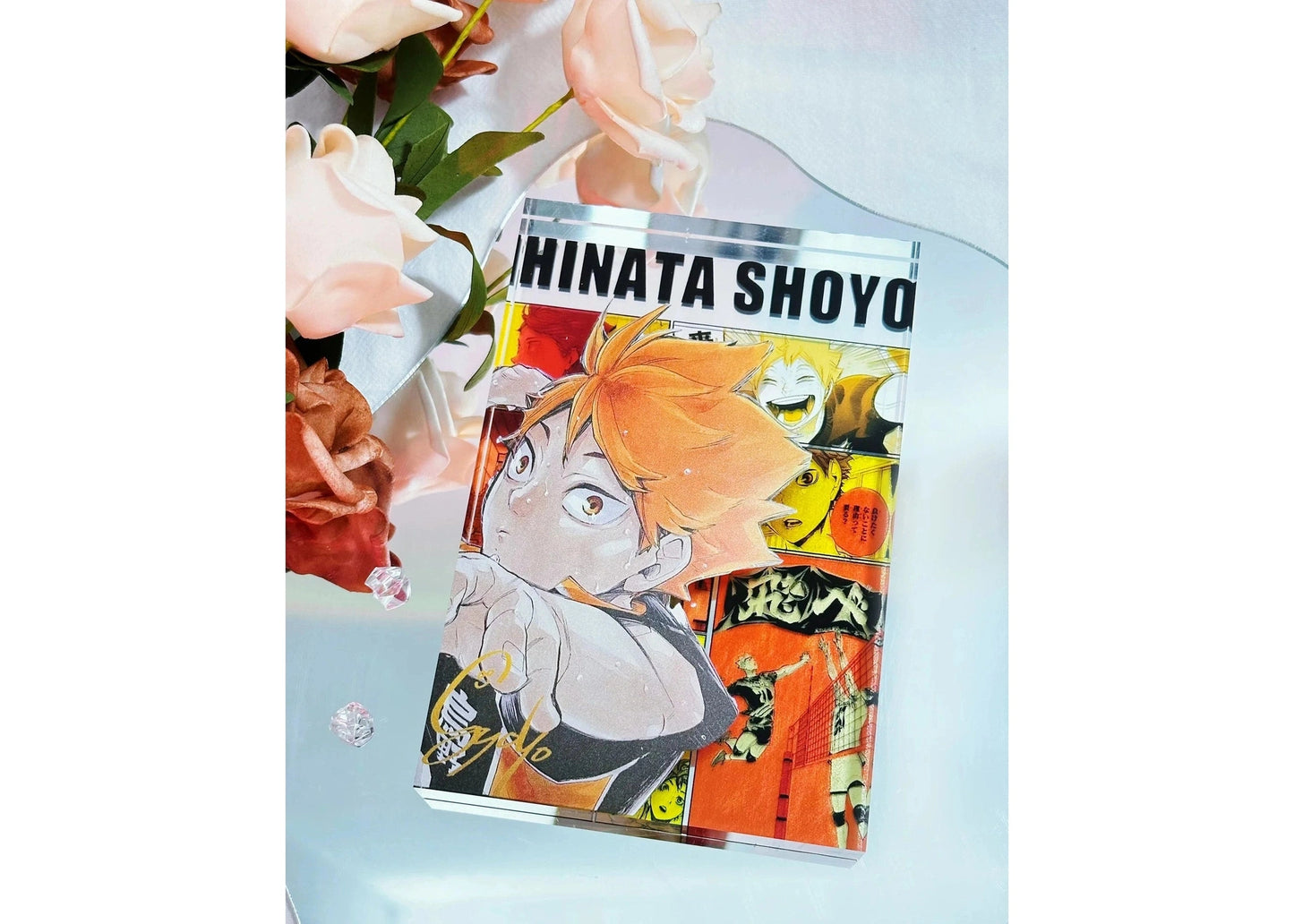 A Cool Anime Gift, AniPanel Manga Art - Haikyuu!!: Hinata Shoyo