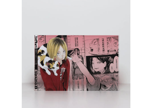 A Cool Anime Gift, AniPanel Manga Art - Haikyuu!!: Kenma Kozume