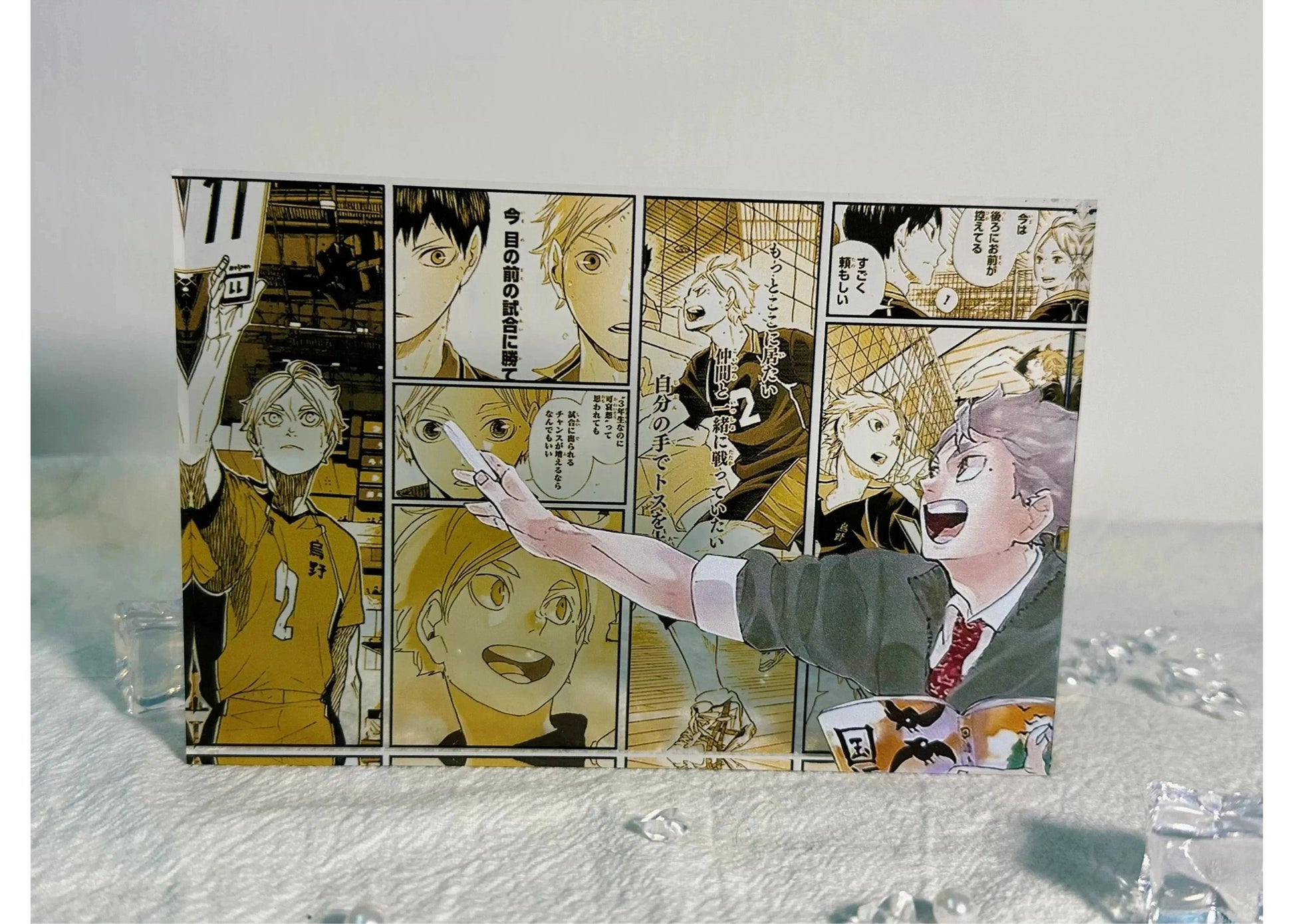 A Cool Anime Gift, AniPanel Manga Art - Haikyuu!!: Koshi Sugawara 2