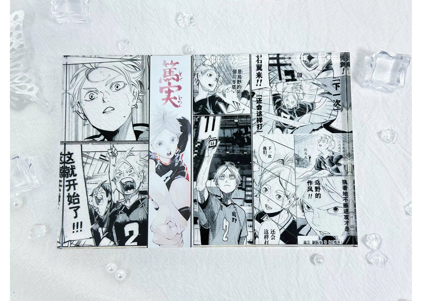 A Cool Anime Gift, AniPanel Manga Art - Haikyuu!!: Koshi Sugawara