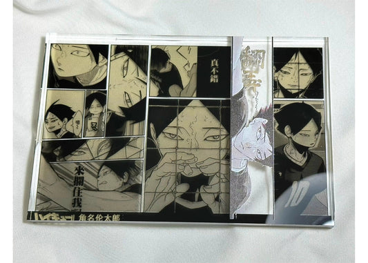 A Cool Anime Gift, AniPanel Manga Art - Haikyuu!!: Rintarō Suna