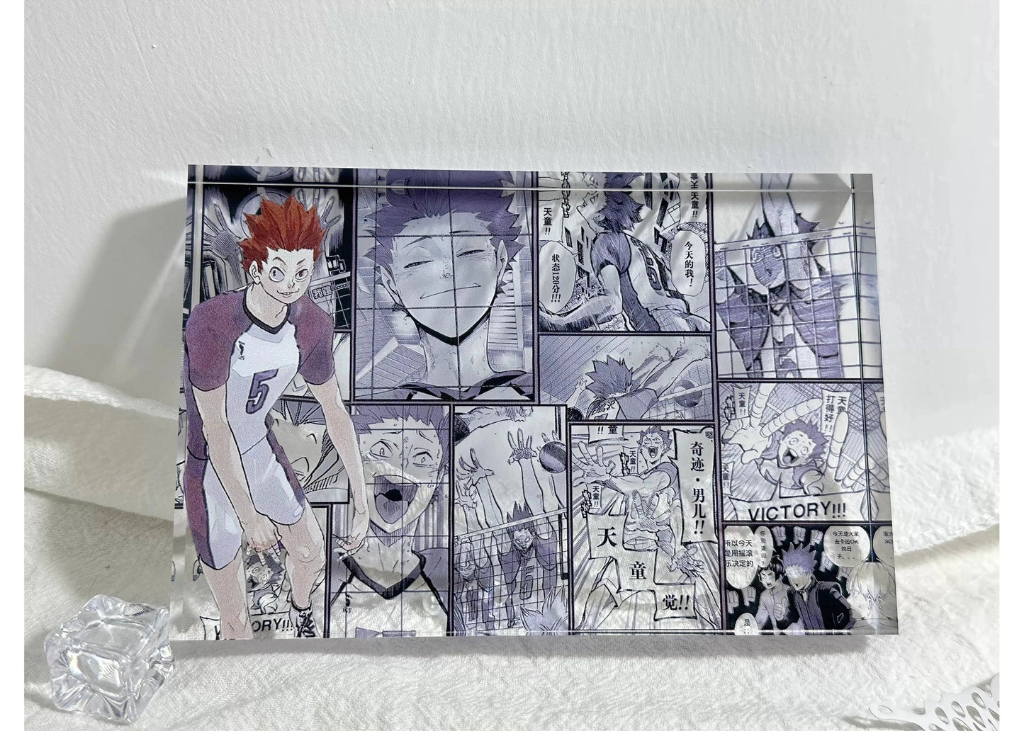 A Cool Anime Gift, AniPanel Manga Art - Haikyuu!!: Satori Tendō