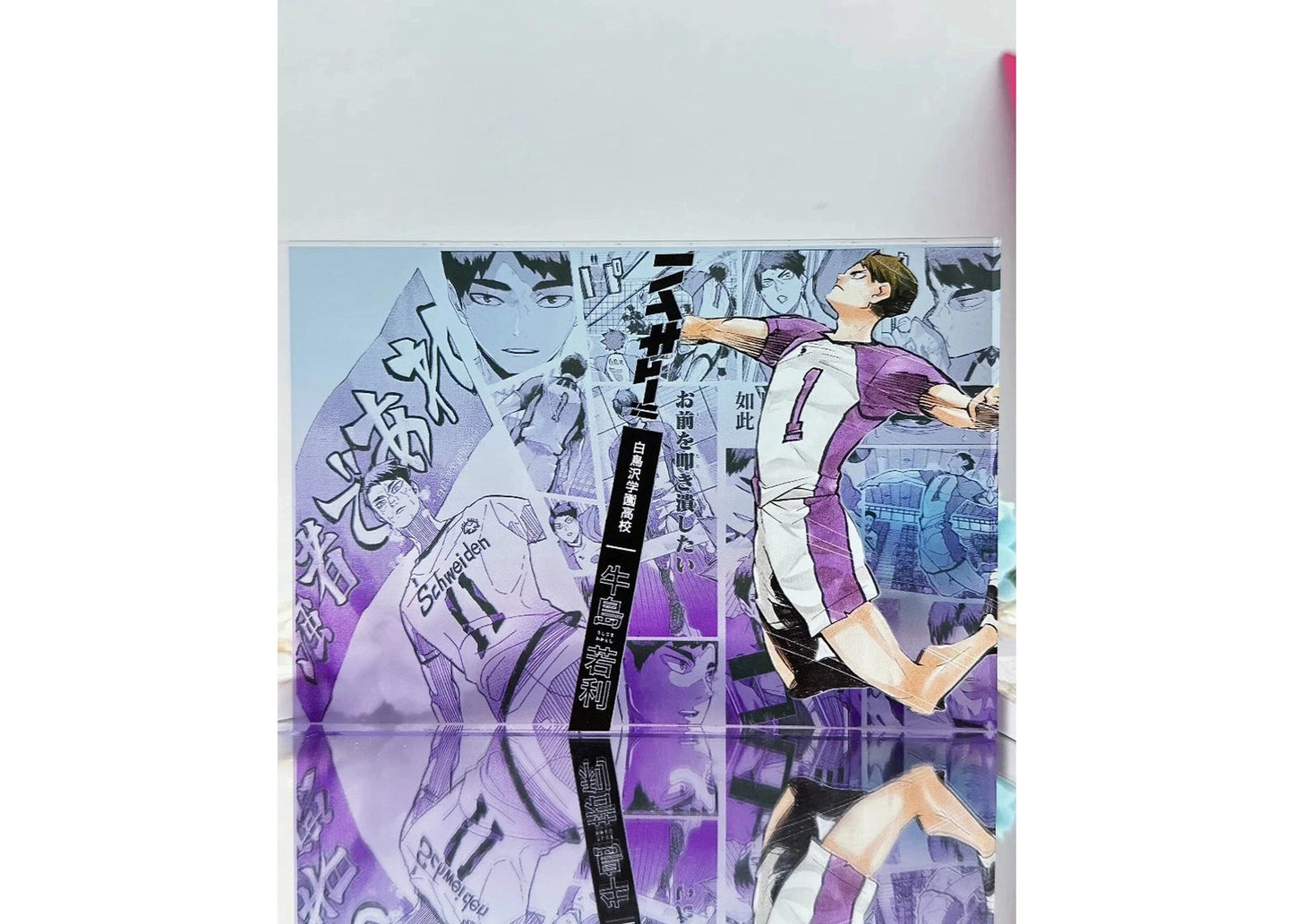 A Cool Anime Gift, AniPanel Manga Art - Haikyuu!!: Wakatoshi Ushijima 2