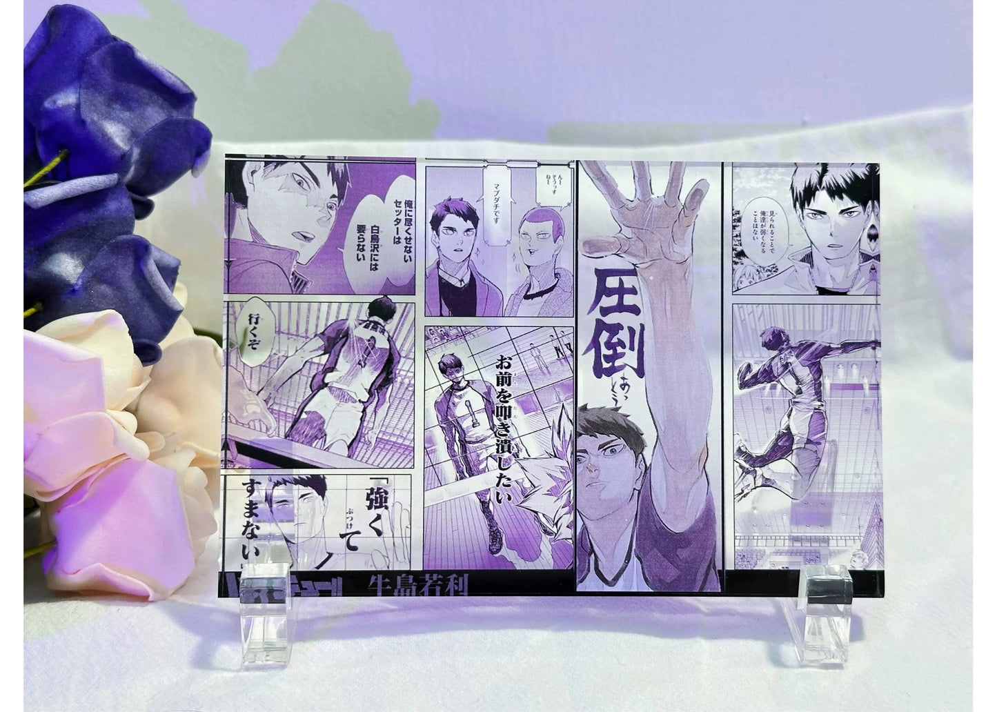 A Cool Anime Gift, AniPanel Manga Art - Haikyuu!!: Wakatoshi Ushijima 3