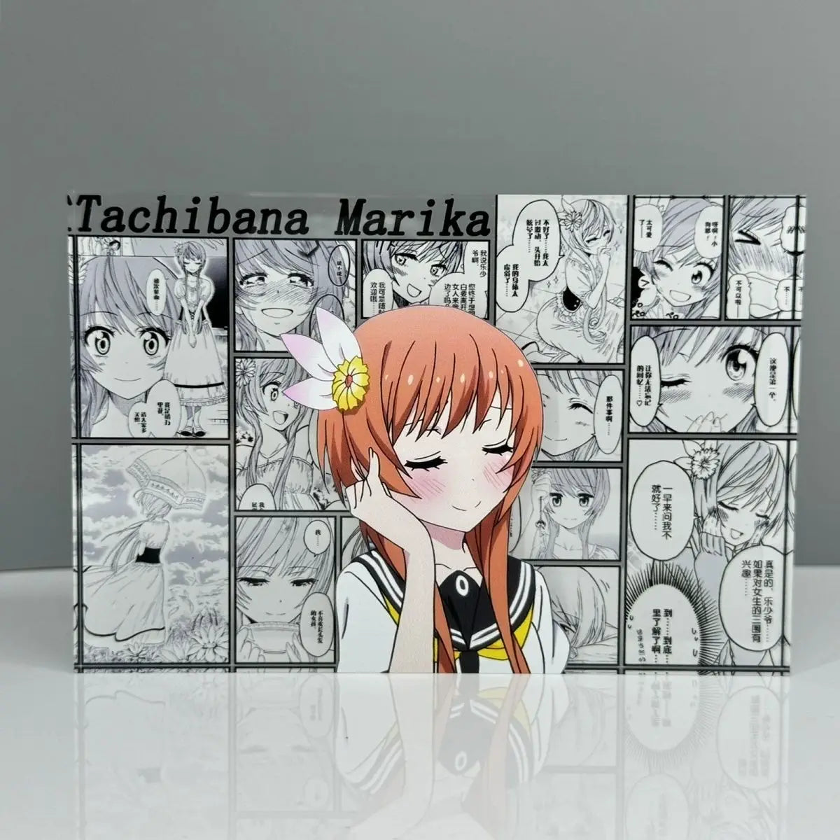 AniPanel Manga Art- Nisekoi: Marika Tachibana anime gift