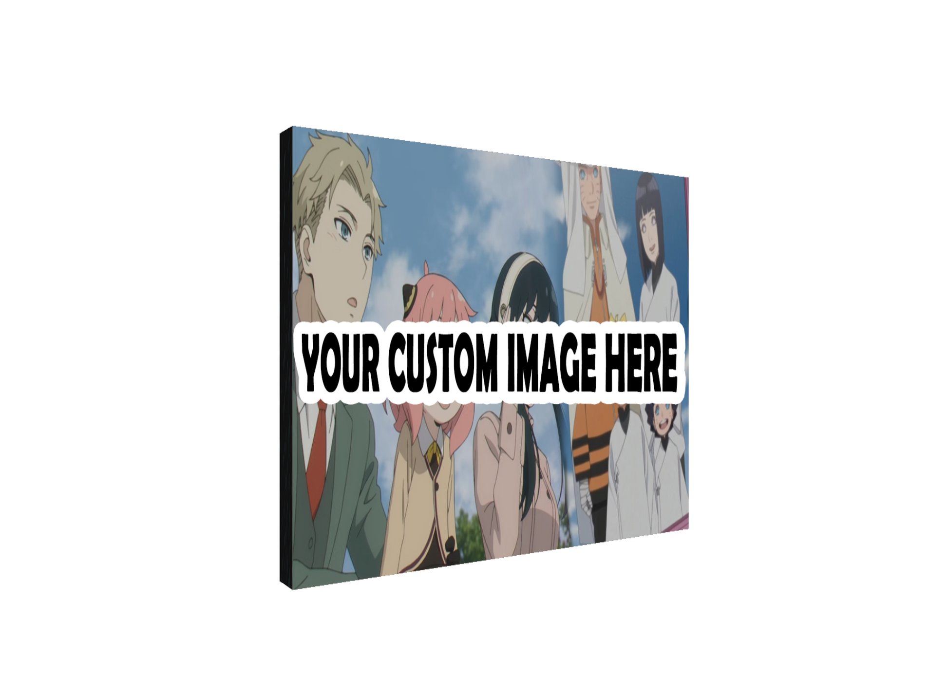 A Custom AniPanel